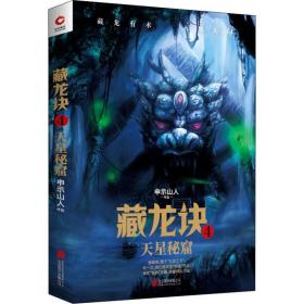 藏龙诀 4 天星秘窟 中国科幻,侦探小说 申示山人 新华正版