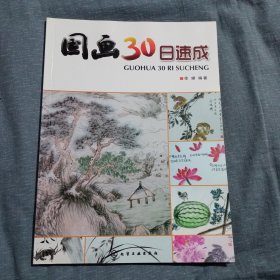 国画30日速成