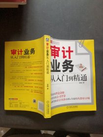 审计业务从入门到精通