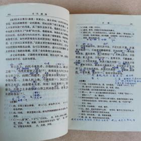古代汉语（修订本）上中下