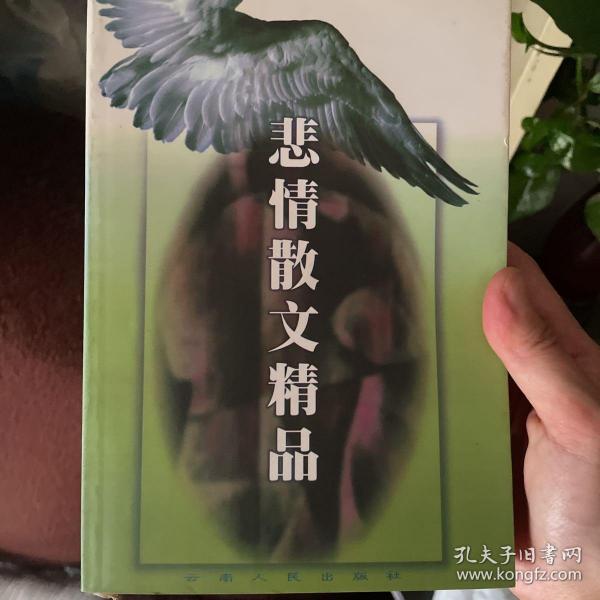 悲情散文精品