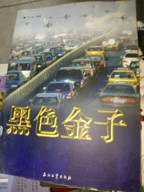 黑色金子王大銳9787502159122石油工業(yè)出版社