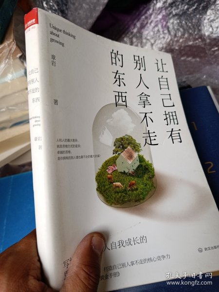 让自己拥有别人拿不走的东西：写给千万年轻人自我成长的思维开窍课