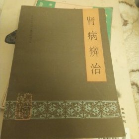 肾病辨治(正版书)