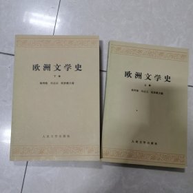 欧洲文学史上下册