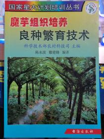 魔芋组织培养良种繁育技术