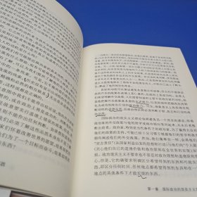 国家间政治：权力斗争与和平