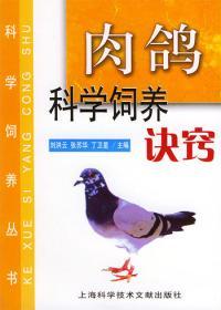 肉鴿科學(xué)飼養(yǎng)訣竅劉洪云