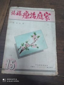 家庭治疗杂志15