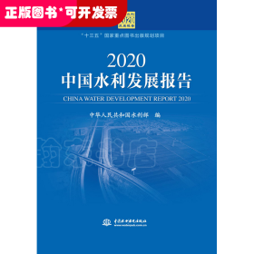 2020中国水利发展报告