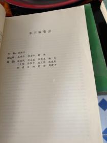 桑塔纳2000/桑塔纳电气系统使用与维修（修订版）——国产轿车电气系统使用维修丛书