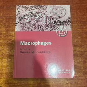 macrophages