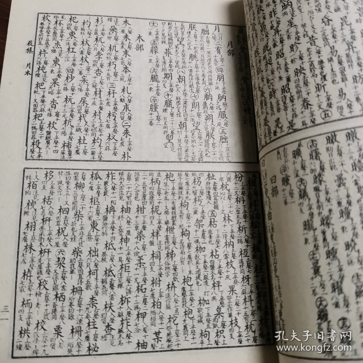 诗韵易检