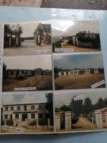 照片，农村乡镇新砖瓦房图片。共102张