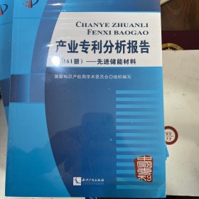 产业专利分析报告（第61册）：先进储能材料