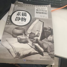 美术专业基础教材·素描静物