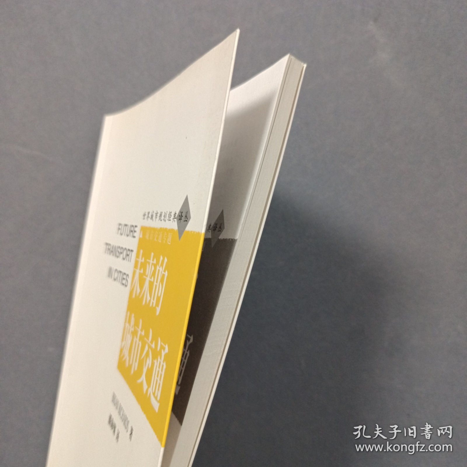 未来的城市交通
