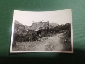 香港早期青山黑白老照片