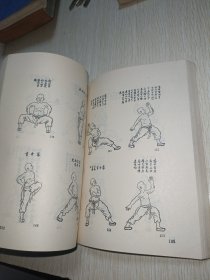 少林寺资料集〖内有少林拳法图解〗
