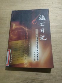 逃亡日记:一个腐败分子逃亡的心路历程