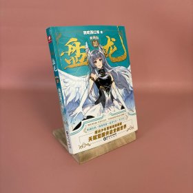 盘龙典藏版10