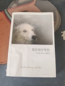 我在雨中等你