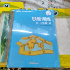 新东方中小学全科教育：思维训练 B 三年级（暑）（全2册）