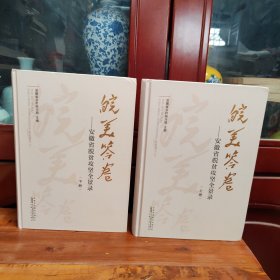 皖美答卷 ——安徽省脱贫攻坚全景录上下册