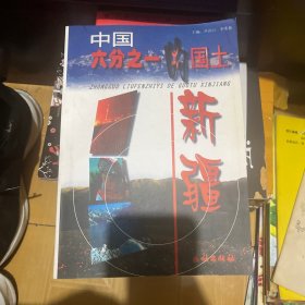 中國六分之一的國土一新疆