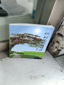 绒树花开的时候