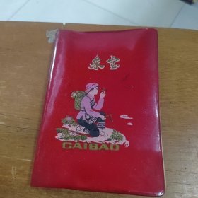 笔记本 采宝