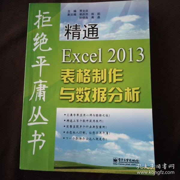 拒绝平庸丛书：精通Excel 2013表格制作与数据分析