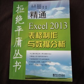 拒绝平庸丛书：精通Excel 2013表格制作与数据分析