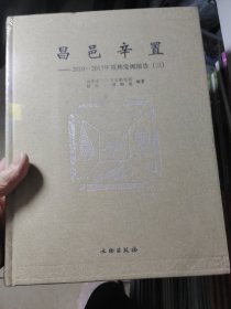 昌邑辛置 2010～2013年墓葬发掘报告（第三卷）