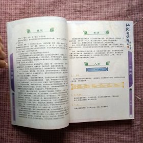 正版 《仙剑奇侠传三外传·问情篇》官方资料设定，(盒装，没有光盘)