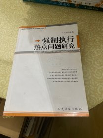 强制执行热点问题研究