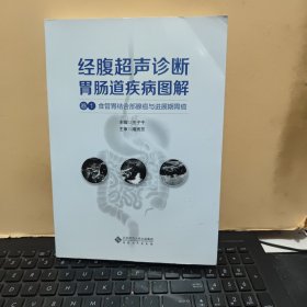 经腹超声诊断胃肠道疾病图解（卷1 食管胃结合部腺癌与进展期胃癌）大开本，铜版纸印刷，内页少许划线，详细参照书影