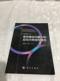 奇异摄动丛书（4）：奇异摄动问题中的空间对照结构理论