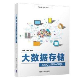 大数据存储——从SQL到NoSQL（大数据系列丛书）