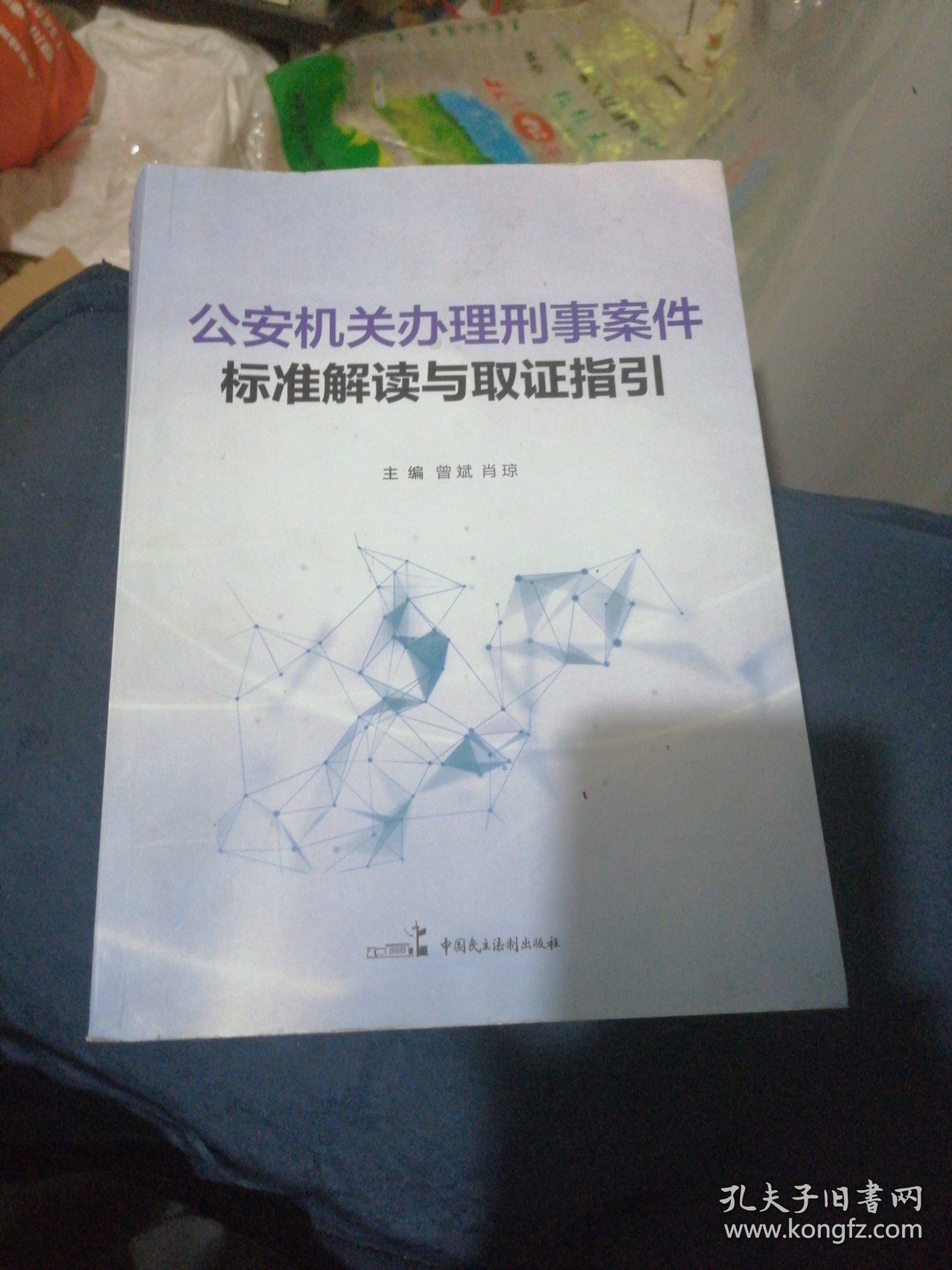 公安机关办理刑事案件标准解读与取证指引