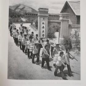 杨家岭下沐春风