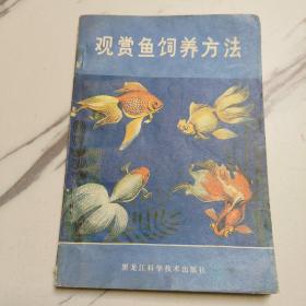 观赏鱼饲养方法