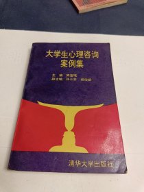 大学生心理咨询案例集