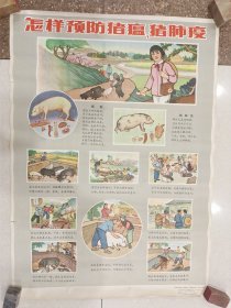 怎样预防猪瘟、猪肺疫