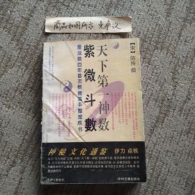 天下第一神数紫微斗数：中国神秘文化通鉴