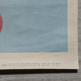 年画 猫戏图 2开上海人民美术
