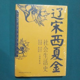 宋辽西夏金社会生活史