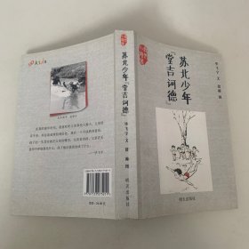 苏北少年“堂吉诃德”