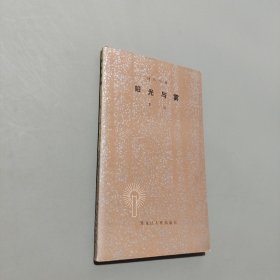 阳光与雾