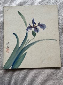 孤山的兰花